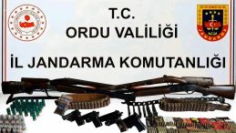 Ordu&rsquo;da Silah ve Uyuşturucu Operasyonu