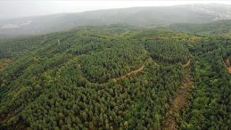 Orman Kadastrosu Uygulaması Başlatıldı