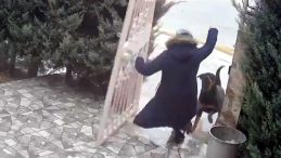 Sahipsiz K&ouml;peklerden Saldırıya Uğrayan Kadını Kurtaranlar: Biz Olmasaydık&hellip;