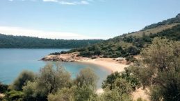 Sahte Patron Evsiz Steven Ortaya &Ccedil;ıktı