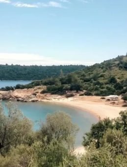 Sahte Patron Evsiz Steven Ortaya &Ccedil;ıktı