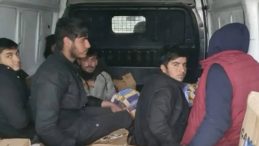 Sakarya'da G&ouml;&ccedil;men Ka&ccedil;ak&ccedil;ılığı Operasyonu: 1 Tutuklama