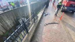 Sakarya'da Otomobil Su Kanalına U&ccedil;tu: S&uuml;r&uuml;c&uuml; Yaralandı