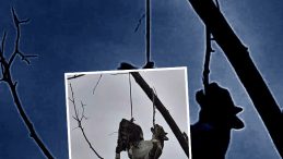 Samsun'da Vicdansızlık Olayı! Hayvanseverlerden Tepkiler Yağdı