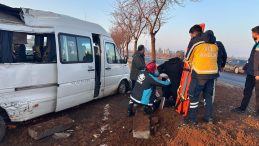 Şanlıurfa'da Yolcu Minib&uuml;s&uuml; Ağa&ccedil;la &Ccedil;arpıştı: 7 Yaralı