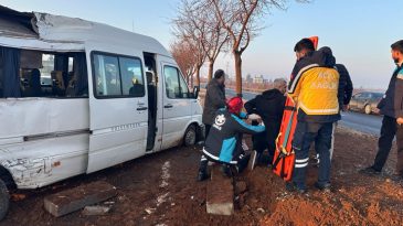 Şanlıurfa'da Yolcu Minib&uuml;s&uuml; Ağa&ccedil;la &Ccedil;arpıştı: 7 Yaralı