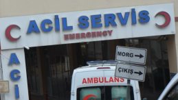 Şanlıurfa&rsquo;da otomobilin &ccedil;arptığı kadın yaşamını yitirdi