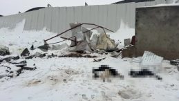 Siirt'te 3 Ahırın &Ccedil;atısı &Ccedil;&ouml;kt&uuml;: &Ccedil;ok Sayıda Hayvan Telef Oldu