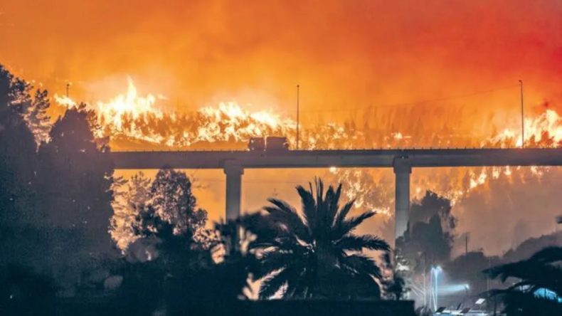 Şili'de Orman Yangını: 18 Kişi Hayatını Kaybetti