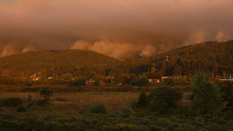Şili&rsquo;de Orman Yangını Felaketi: 18 Can Kaybı