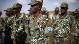 Somali Ordusu B&uuml;y&uuml;k Bir Ter&ouml;r Operasyonu D&uuml;zenledi: 17 Militan Etkisiz Hale Getirildi