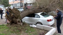SON DAKİKA&hellip; Meteoroloji'nin uyardığı lodos İstanbul'da etkisini artırdı: Ağacın altında kalmaktan 1 saniye ile kurtuldu!