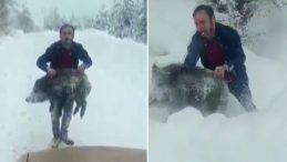 Sosyal Medyada G&uuml;ndem Olmuştu! Sinop'ta Yavru Domuzu Elleriylen Yakalayan Kişiye 15 Bin Lira Ceza