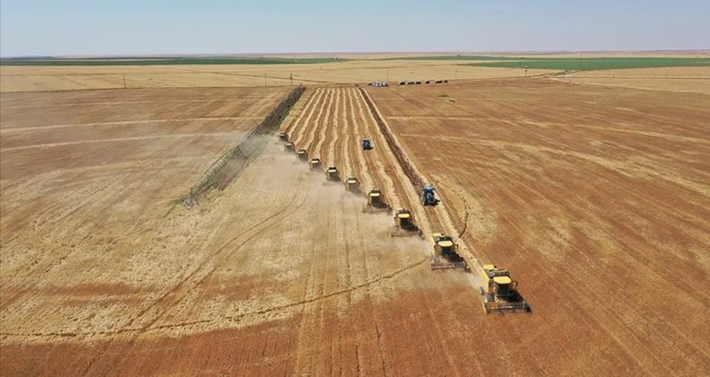 Tarıma Dayalı Projelerin Tamamlanma Tarihleri Açıklandı