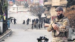 Ter&ouml;r &Ouml;rg&uuml;t&uuml;n&uuml;n Son &Ccedil;ırpınışları