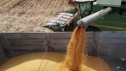 TMO Yem Sekt&ouml;r&uuml; İ&ccedil;in Ek Stokları A&ccedil;ıkladı