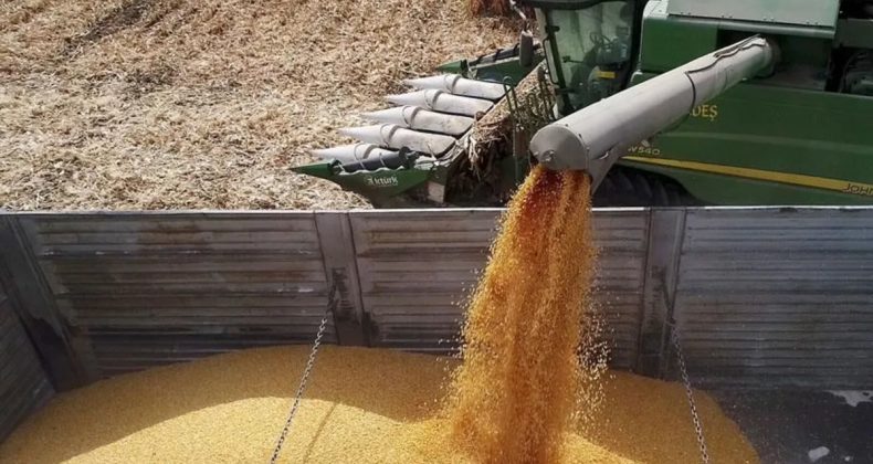 TMO Yem Sekt&ouml;r&uuml; İ&ccedil;in Ek Stokları A&ccedil;ıkladı