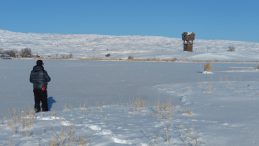 T&ouml;d&uuml;rge G&ouml;l&uuml; Dondu