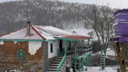 Trakya beyaza b&uuml;r&uuml;nd&uuml;