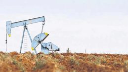 Trump, Baskının Maliyetini Karşıladı