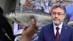 T&uuml;rk Somonu İhracatı 500 Milyon Dolara Ulaştı