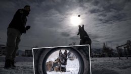 T&uuml;rkiye'nin En Soğuk İlinde Eğitim Alıyorlar: İhtiya&ccedil; Duyulduğunda G&ouml;nderiliyorlar!