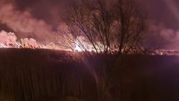 T&uuml;rkiye&rsquo;nin 12. G&ouml;l&uuml; Eber'de Kuraklık ve Yangın Tehlikesi