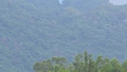 Vietnam'da Askeri U&ccedil;ak Dağa D&uuml;şerek Kaza Yaptı