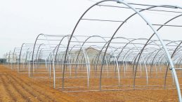 Yılda 9 Milyon Tonluk &Uuml;retim Yapılıyor