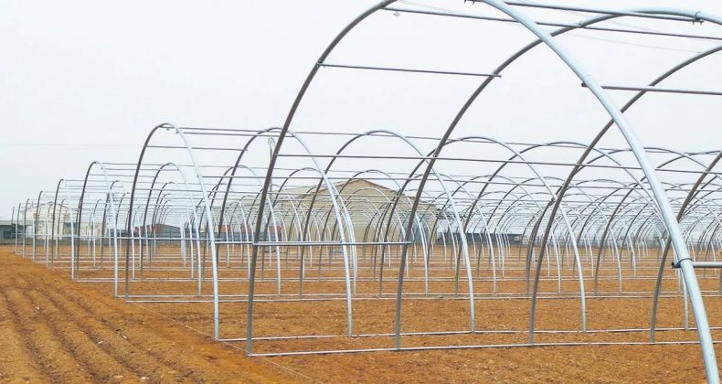 Yılda 9 Milyon Tonluk &Uuml;retim Yapılıyor