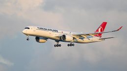 Yolcu, internet adını 'tehlikeli' hale getirdi; THY u&ccedil;ağı acil iniş yaptı