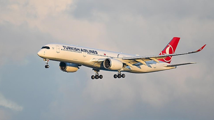 Yolcu, internet adını 'tehlikeli' hale getirdi; THY u&ccedil;ağı acil iniş yaptı