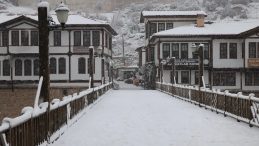 Yurt Beyaza B&uuml;r&uuml;nd&uuml;