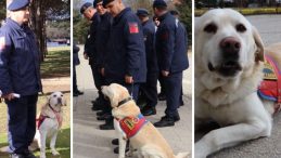 10 Yıl S&uuml;ren G&ouml;rev Sonlandı: Jandarmada 'Medyum' Emekliye Ayrıldı