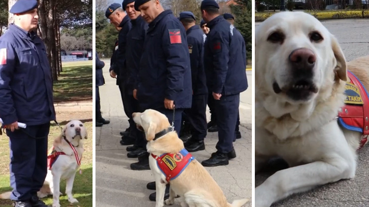 10 Yıl S&uuml;ren G&ouml;rev Sonlandı: Jandarmada 'Medyum' Emekliye Ayrıldı
