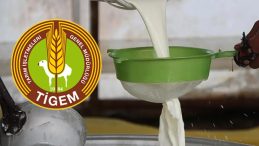 24 Bin Kilogram Koyun S&uuml;t&uuml; Satışı Yapılacak! TİGEM 23 Bin 760 TL Ge&ccedil;ici Teminat İle İhale D&uuml;zenleyecek