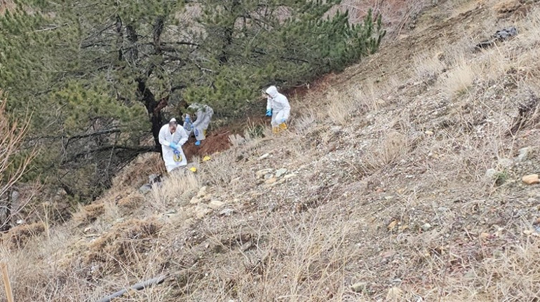 Cesedin Bulunduğu Yer