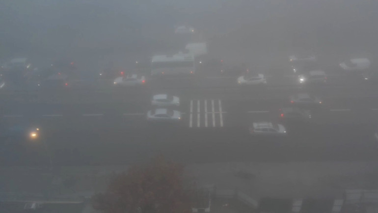 Yağmur ve Sis Görüntüsü