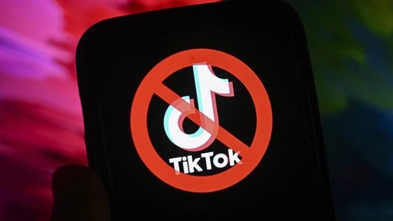 TikTok Veri Toplama