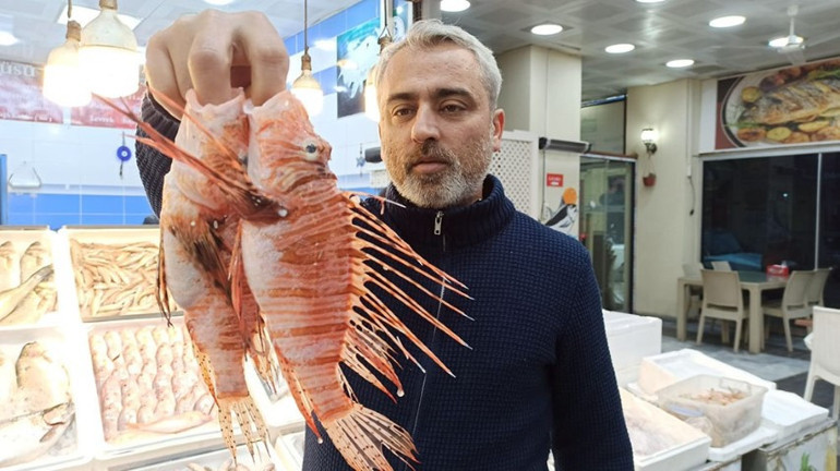 Aslan balığı hazırlanması