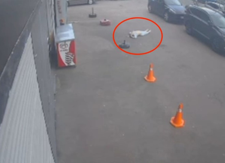 Törenden Bir Görüntü