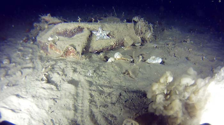 Arama Çalışmaları