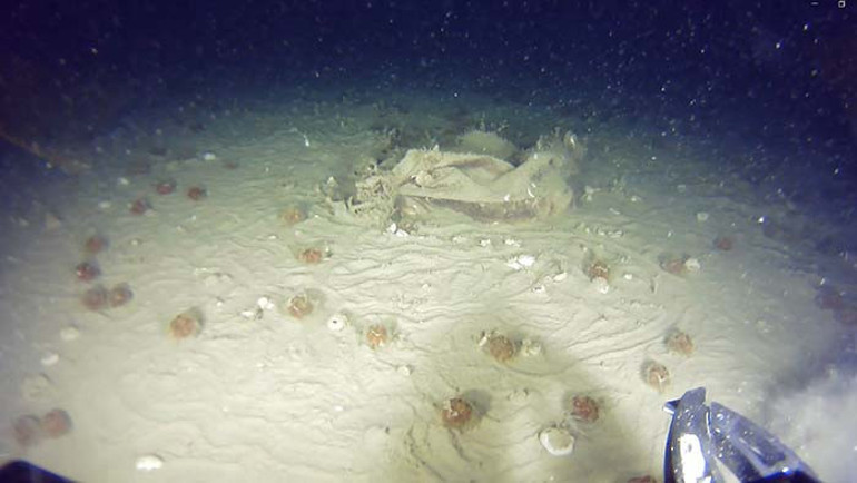 Enkaz Arama Çalışmaları