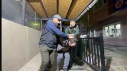 9 Yıldır Aranan Su&ccedil;lu Yakalandı: Cinsel Saldırıdan 10 Yıl Hapis Cezası Verildi