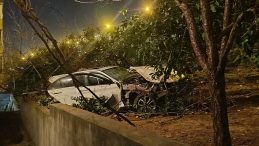 Adana'da Otomobil Şarampole Devrildi: Anne Yaralandı, S&uuml;r&uuml;c&uuml; Oğlu Hayatını Kaybetti