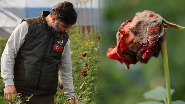 Adana'yı Don Vurdu: Dalında Kurudu! 'Fiyatı Y&uuml;zde 50 Arttı, 14 Şubat'ta Daha da Y&uuml;kselecek'