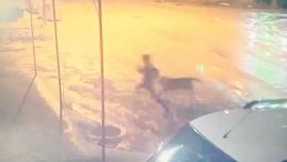 Adıyaman'da Sahipsiz K&ouml;peklerin Saldırısı: &Ccedil;ocuğu Mahalle Sakinleri Kurtardı!