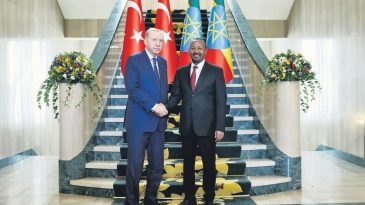 Afrika'da &Ccedil;atışma İstemiyoruz