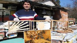 Amasya'da Se&ccedil;imler Start Aldı: Arılar Kazananı Belirleyecek!