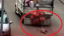 Ankara&rsquo;da Vahşet! Kamyonetin Arkasına Bağlanan K&ouml;pek Kurtarıldı